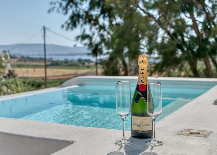 Paradisia Private Swimming Pool And Jacuzzi Sarakiniko (Paros)